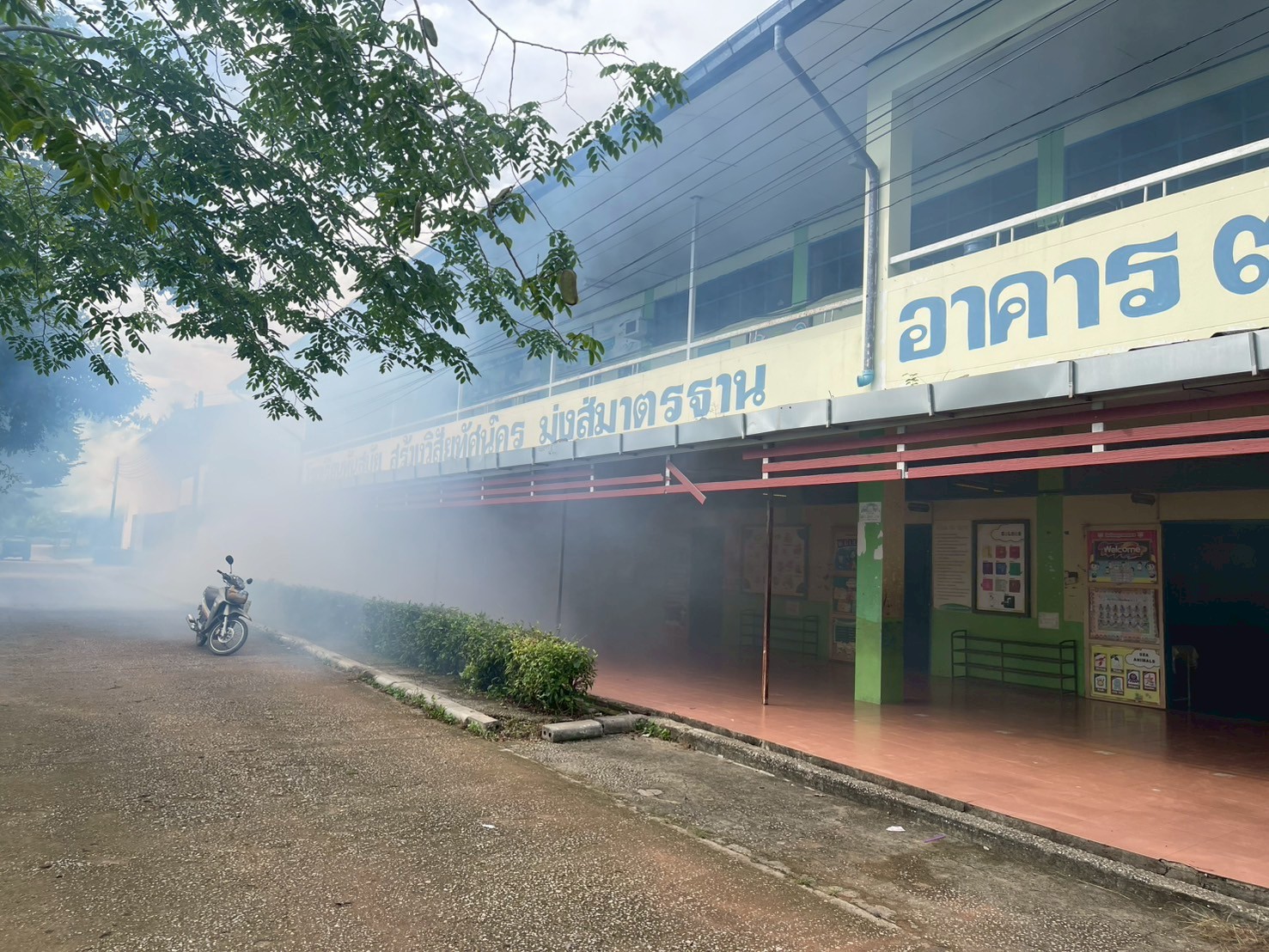 เทศบาลคลองหาดฉีดพ่นหมอกควันไล่ยุง